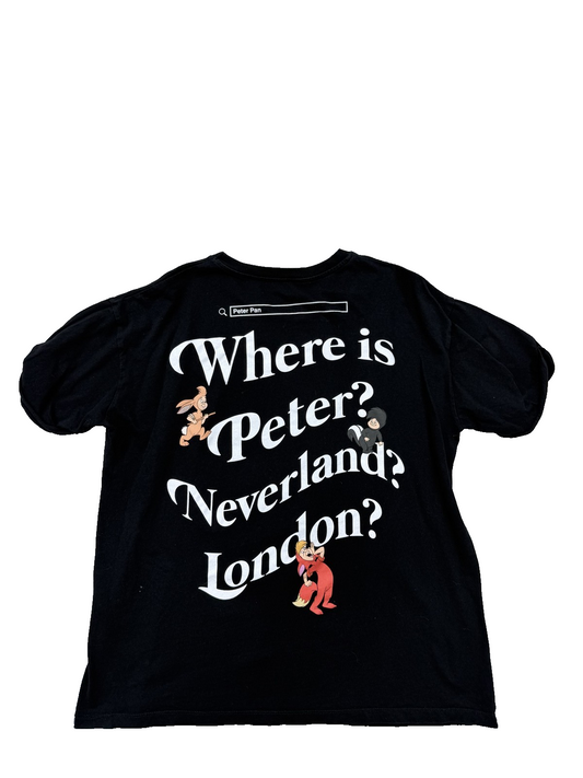 Pull&Bear Peter Pan Disney Black T-Shirt L Short Sleeve Graphic