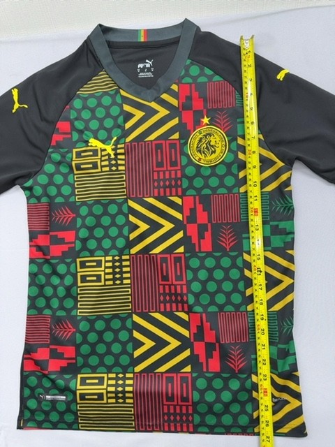 Puma Borussia Dortmund 2025/26 Training Jersey M Black dryCELL