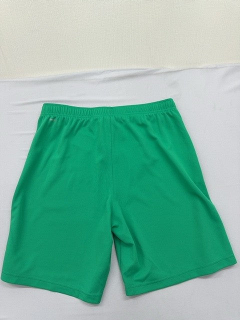 Puma Men's Green Shorts – Size L, Regular Fit