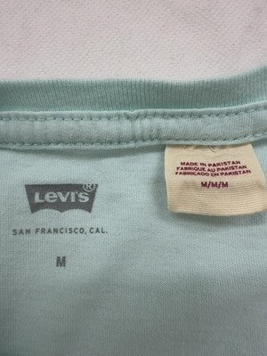 Levi's Men's Mint Green Cotton M Relaxed T-Shirt