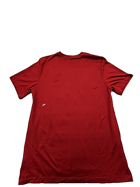 Nike Men's Crimson Alabama Crimson Tide Dri-FIT T-Shirt L