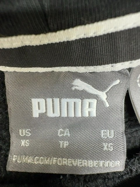 Puma BMW M Motorsport Hoodie Gray XS Graphic Fleece
