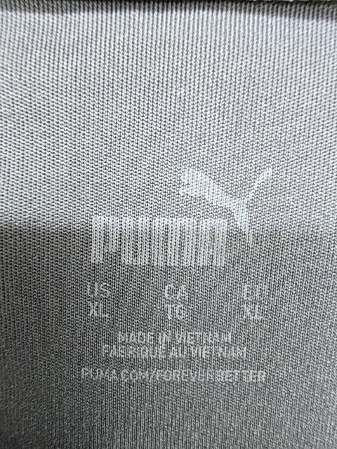 Puma Men's Grey SG Sonnenhof GroÃŸaspach Soccer Jersey XL