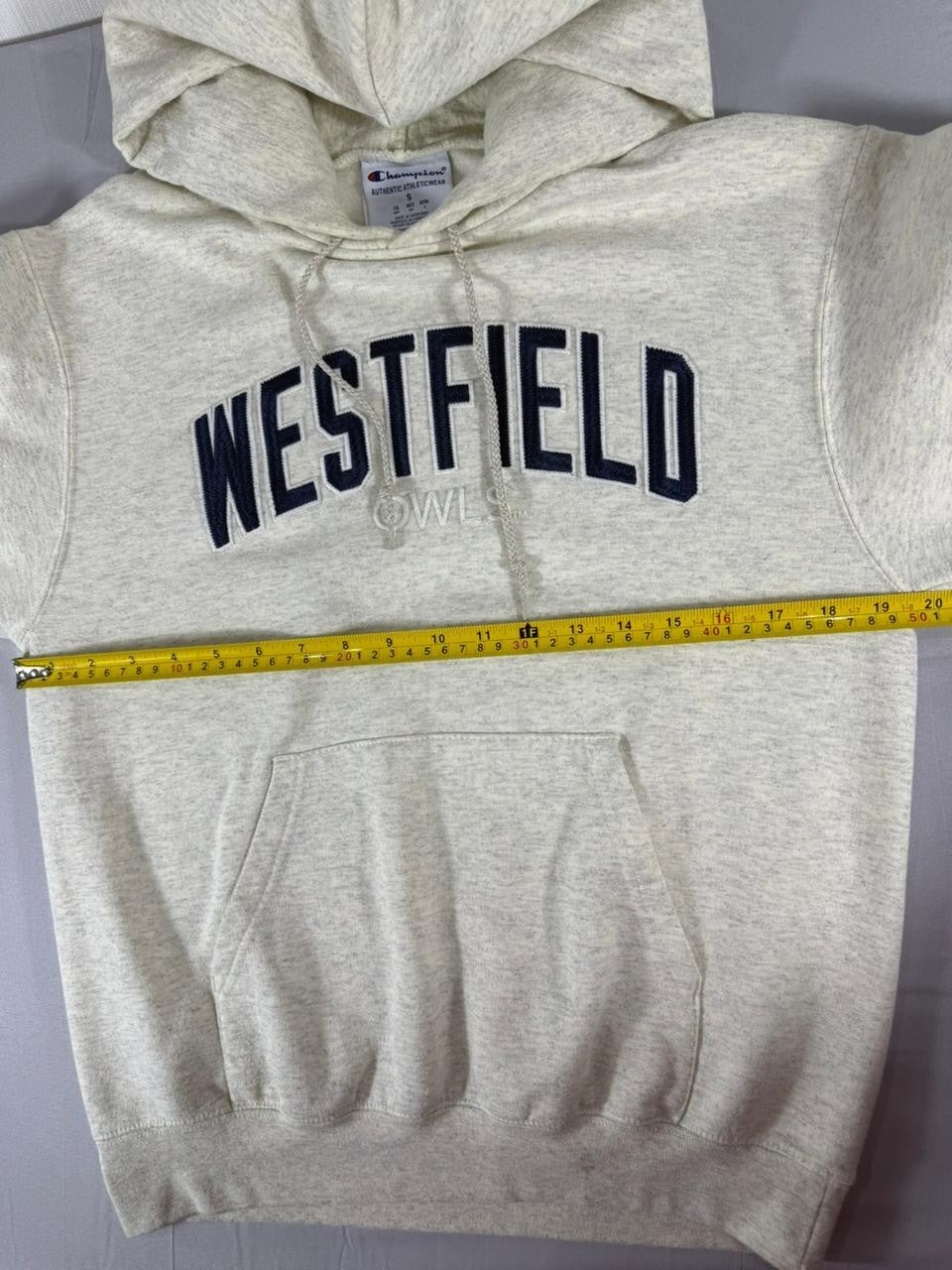 Champion Westfield Hoodie Men's Small Grey Pullover Hooded Sweatshirt