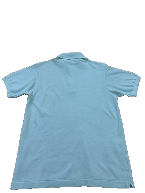 Lacoste Men's Mint Green Polo Shirt Size L Classic Fit Cotton
