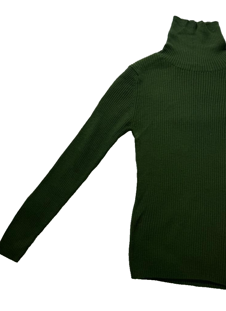 Women Turtle Neck Long Sleeve Ribbed Sweater, Dark Green | M
