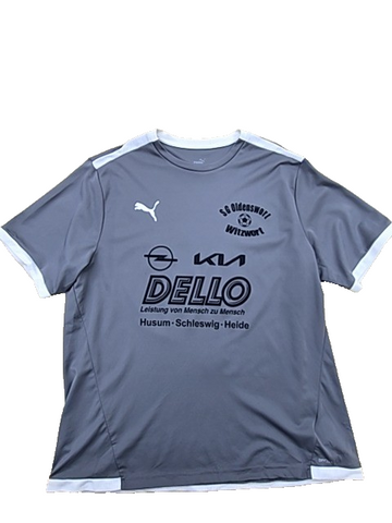 Puma Men's Grey SG Sonnenhof GroÃŸaspach Soccer Jersey XL
