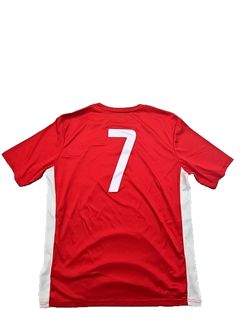 Kappa Men's Red Jersey – Size L, Sports Brand Department Type, Regular Fit