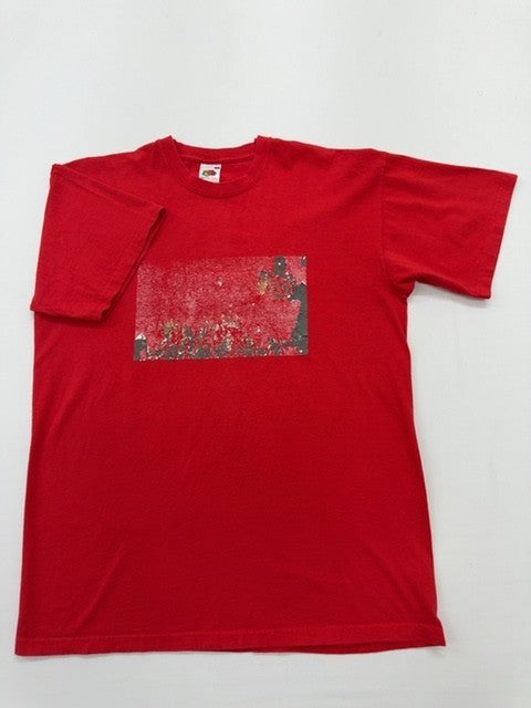 Fruit of the Loom Boys Red T-Shirt size M product image 1