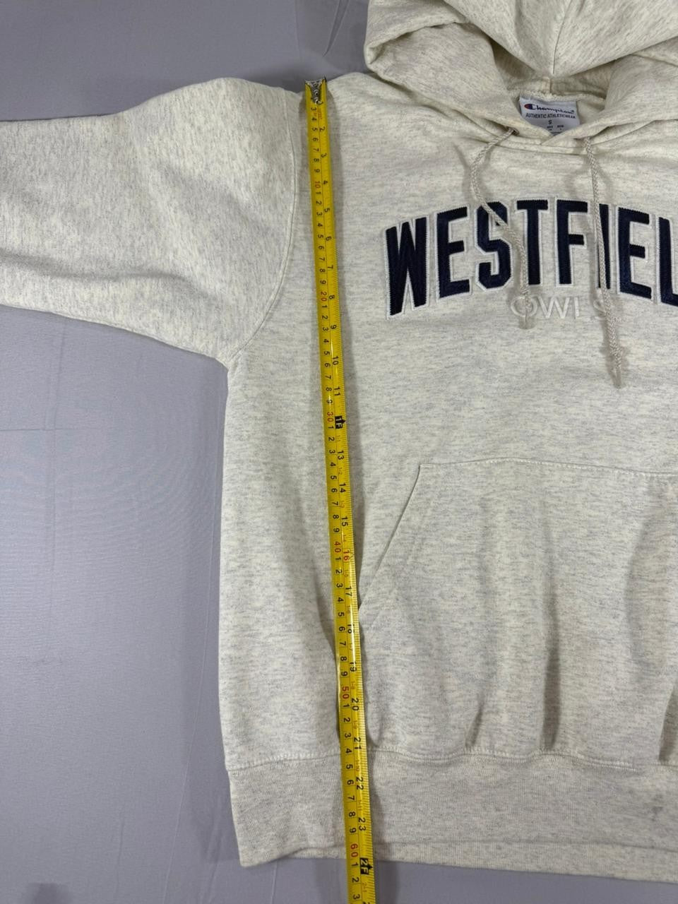 Champion Westfield Hoodie Men's Small Grey Pullover Hooded Sweatshirt