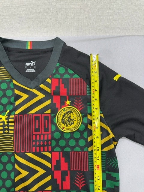 Puma Borussia Dortmund 2025/26 Training Jersey M Black dryCELL