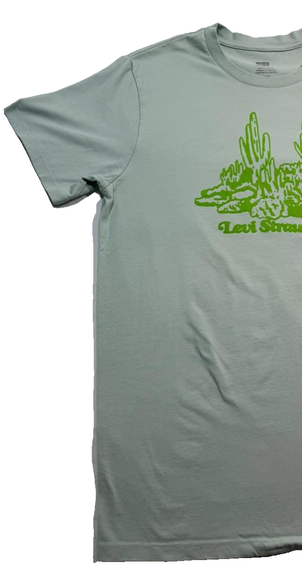 Levi Strauss & Co. Men's Sage Green Cactus Graphic T-Shirt Short Sleeve Size M