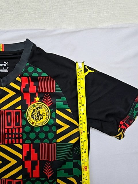 Puma Men's Multi-Color Adinkra Soccer Jersey Size M V-Neck dryCELL