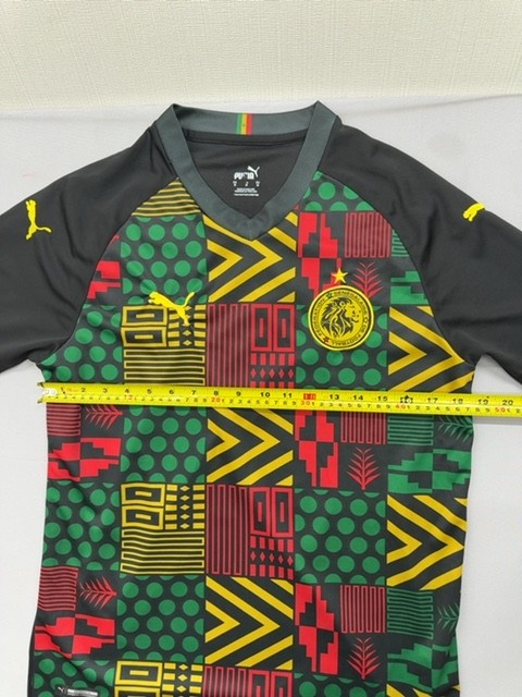 Puma Borussia Dortmund 2025/26 Training Jersey M Black dryCELL