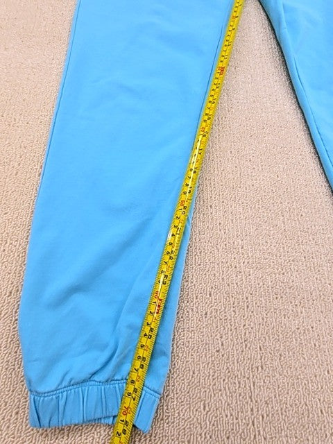 Champion Men's Teal Reverse Weave Boyfriend Sweatpants Size M