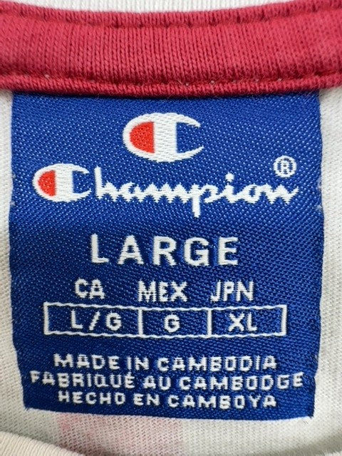 Champion Men's Multi Striped Short Sleeve T-Shirt Large Logo Crewneck