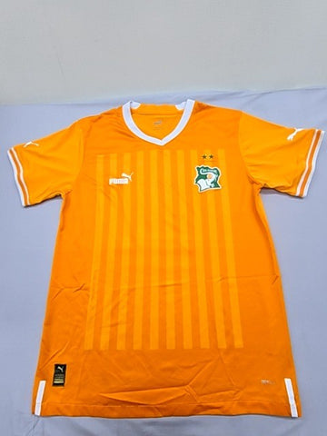 Puma Men's Orange Striped Soccer Jersey V-Neck L Drycell