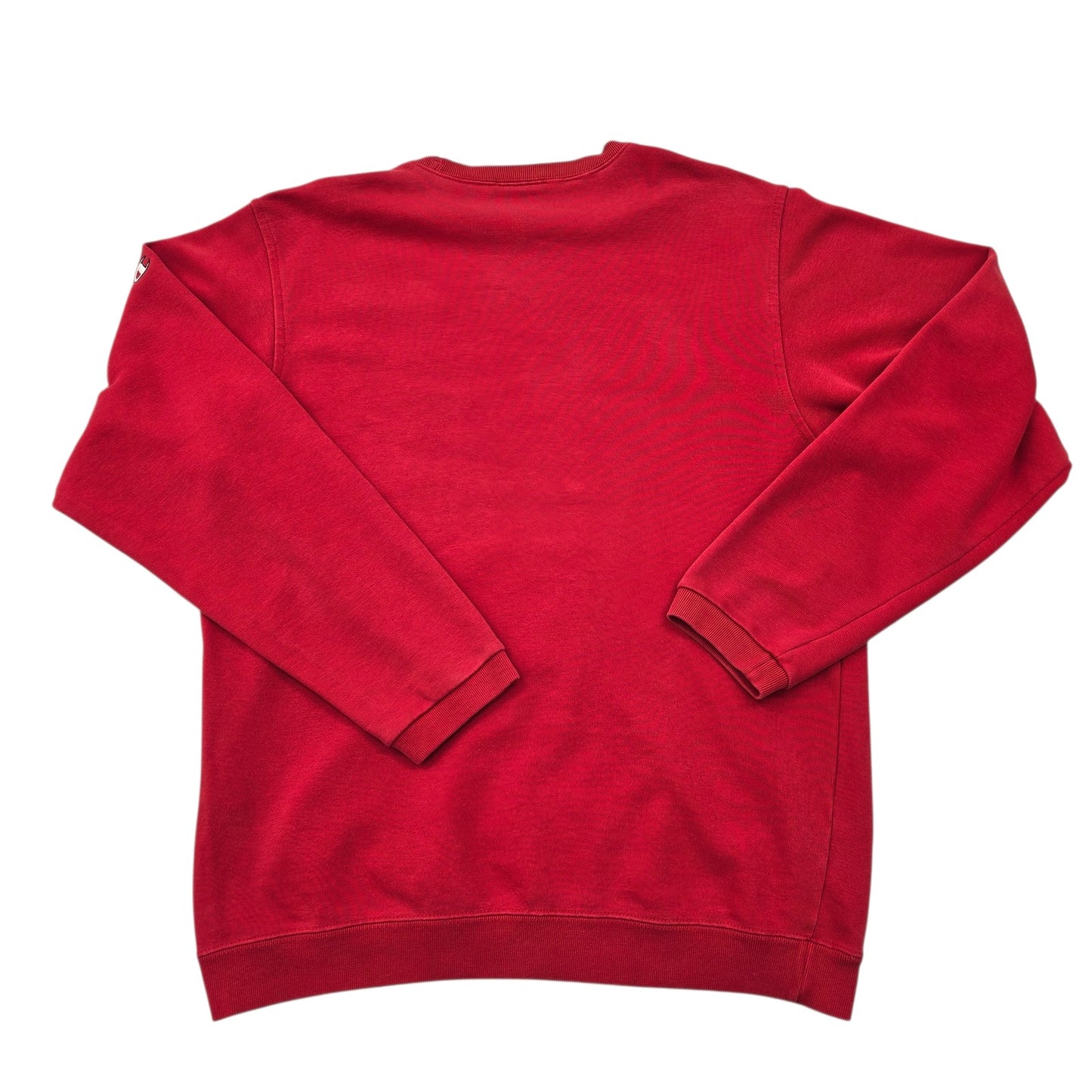 Champion Boys Red Sweatshirt product image 2