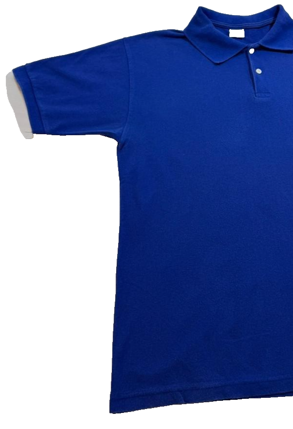 Men's Lacoste Regualr Fit Cotton Polo Shirt Size XL Blue