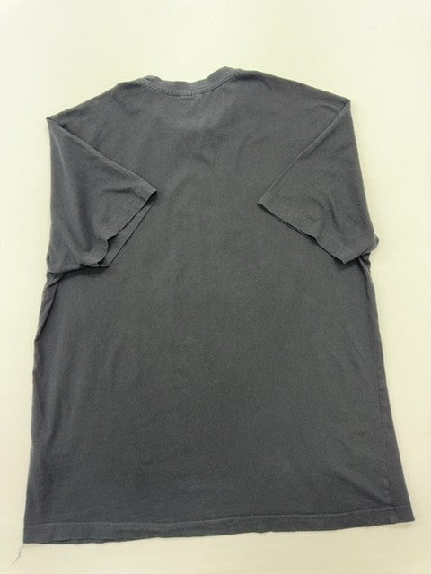 Champion Men Gray T-Shirt size XL product image 2
