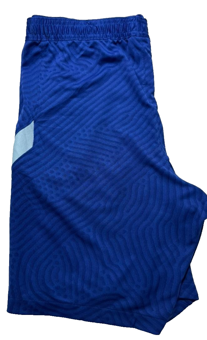 Men's Nike Dri-FIT Chelsea Training Shorts, Size L