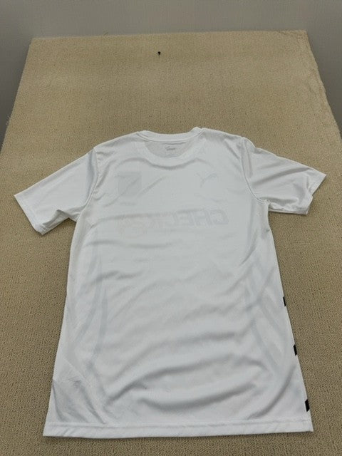 Puma Germany Euro 2024 Fan Jersey Shirt Men S White Check24 NWT
