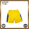 Puma Men's Multicolor Shorts – Size M, Colorblock