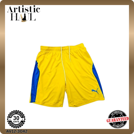 Puma Men's Multicolor Shorts – Size M, Colorblock