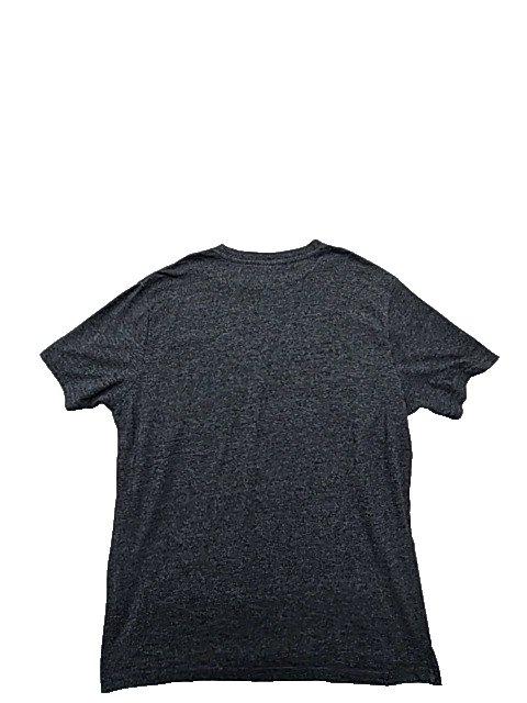 Champion Gray Graphic Print Crewneck T-Shirt Large C Logo