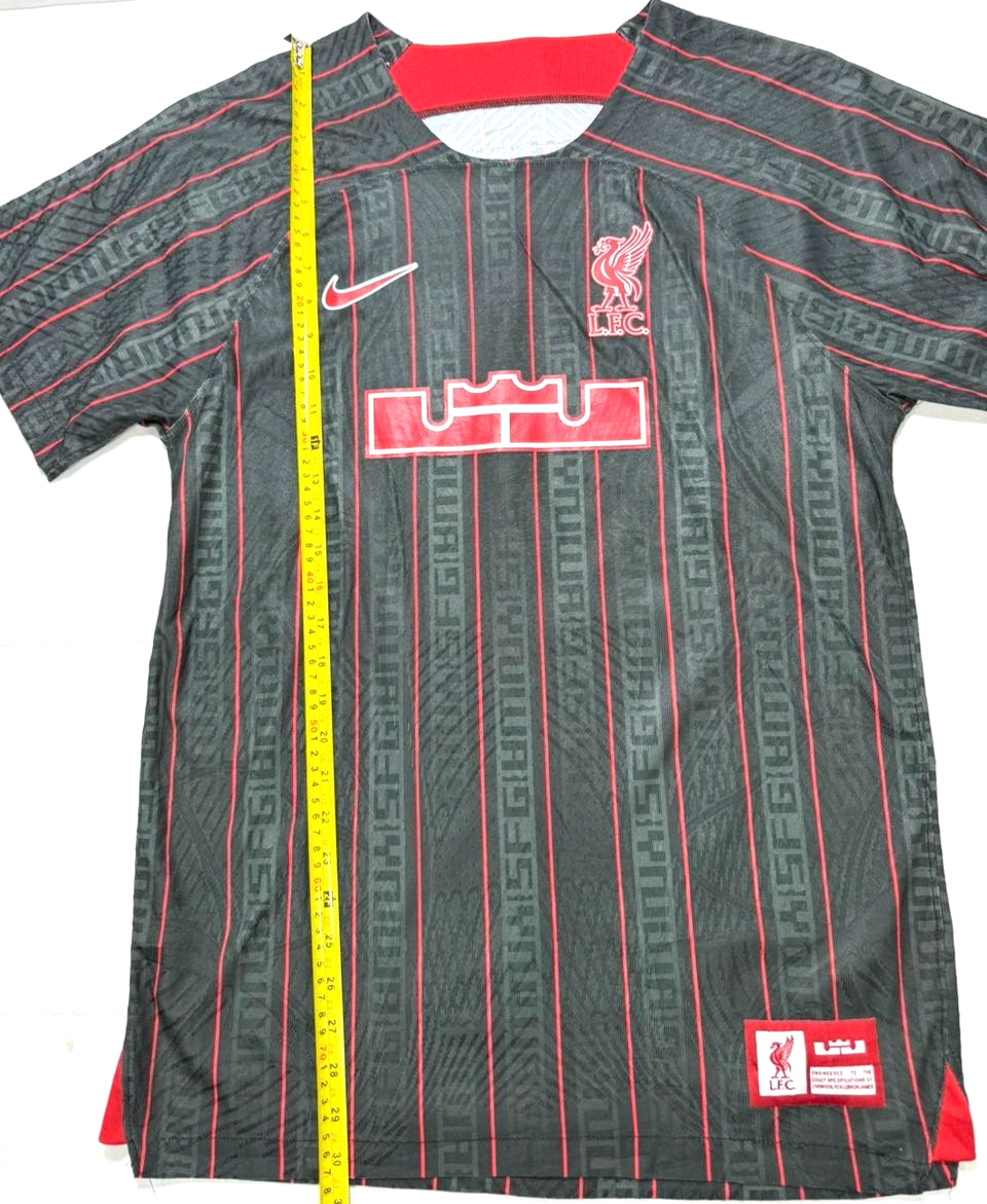 Lebron x Liverpool F.C. Men's Nike Dri-FIT Stadium Football Shirt