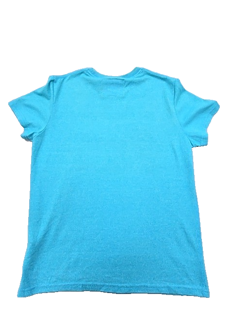 Superdry Men's Turquoise Japan Graphic T-Shirt Size L Short Sleeve