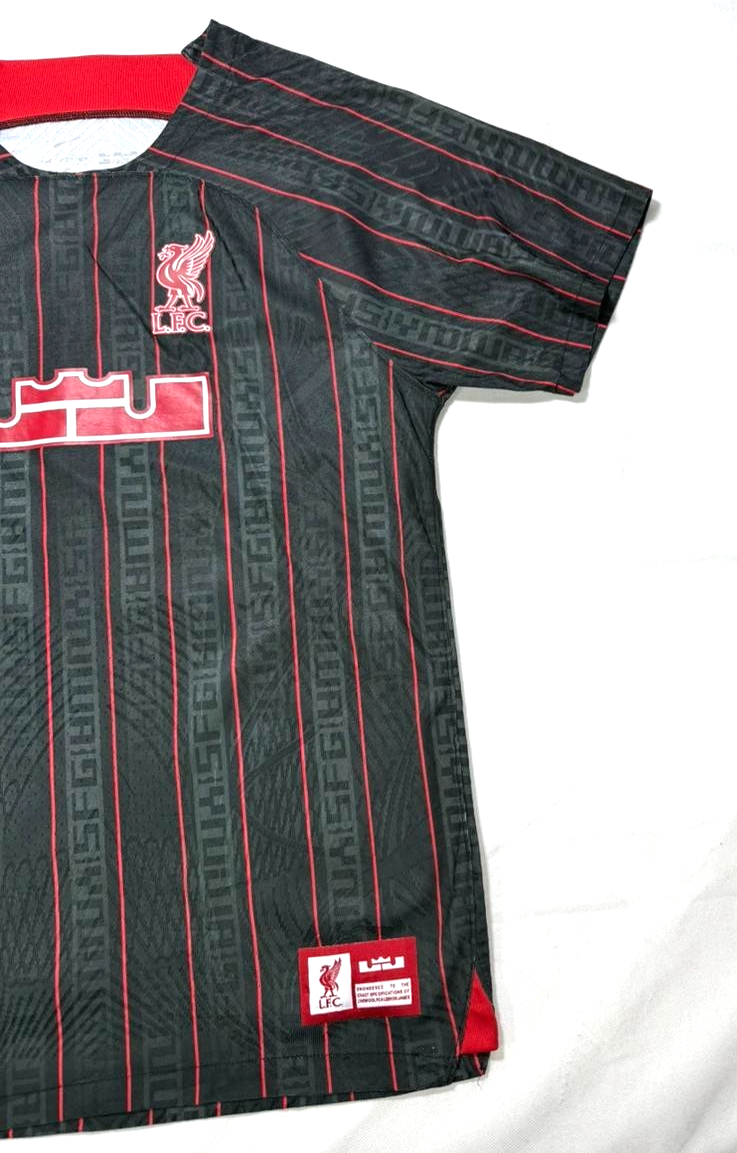 Lebron x Liverpool F.C. Men's Nike Dri-FIT Stadium Football Shirt