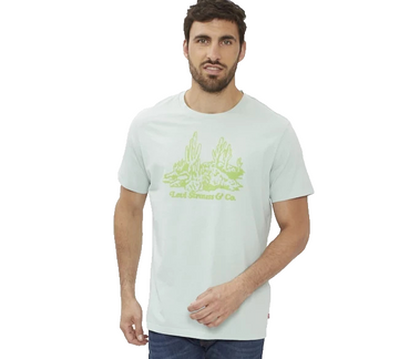 Levi Strauss & Co. Men's Sage Green Cactus Graphic T-Shirt Short Sleeve Size M
