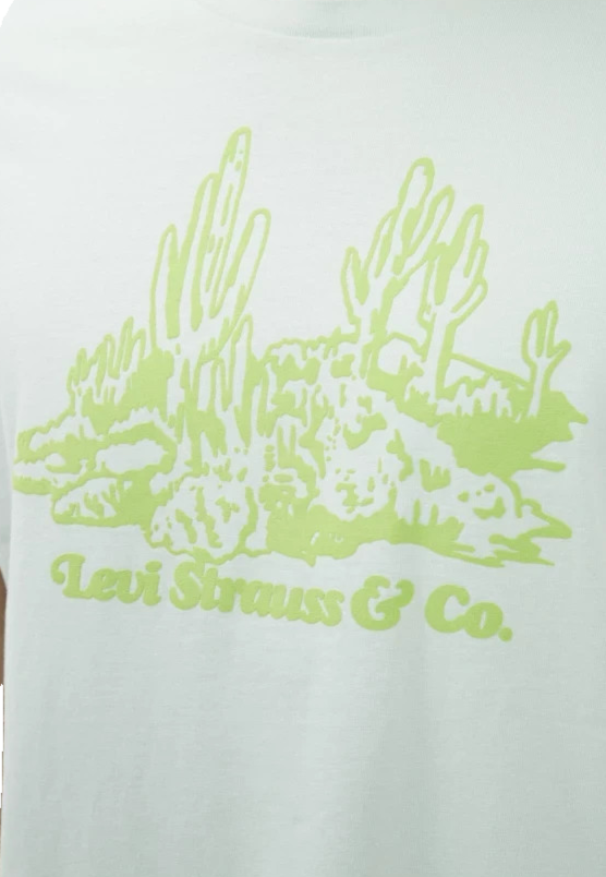 Levi Strauss & Co. Men's Sage Green Cactus Graphic T-Shirt Short Sleeve Size M