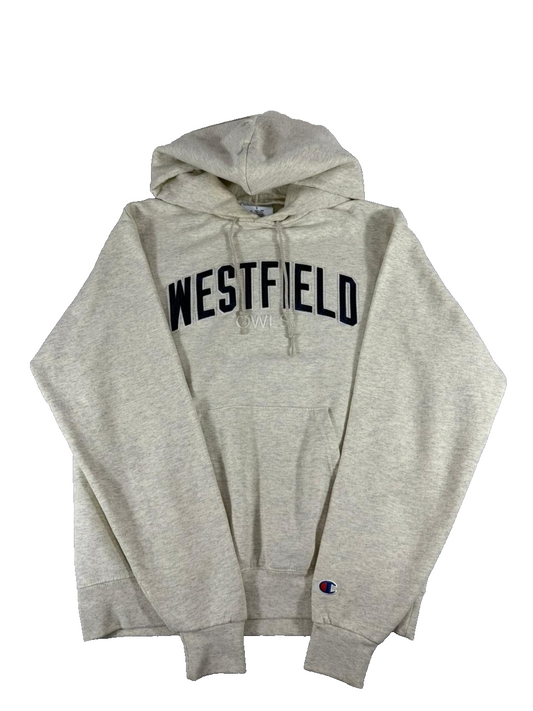 Champion Men's Gray Hoodie – Size S, Pullover, Hooded