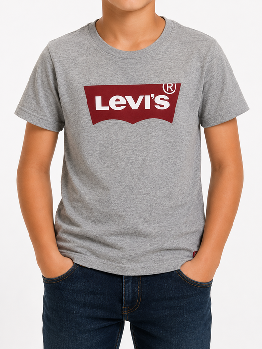 Levi's Boys Gray T-Shirt size M product image 1