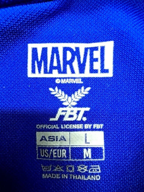 FBT Boys Blue Polo Shirt size L product image 3