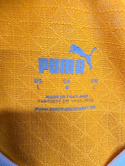Puma Men's Orange Striped Soccer Jersey V-Neck L Drycell