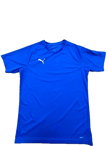 Puma Liga Core Blue V-Neck Jersey M Men dryCELL 703509-02