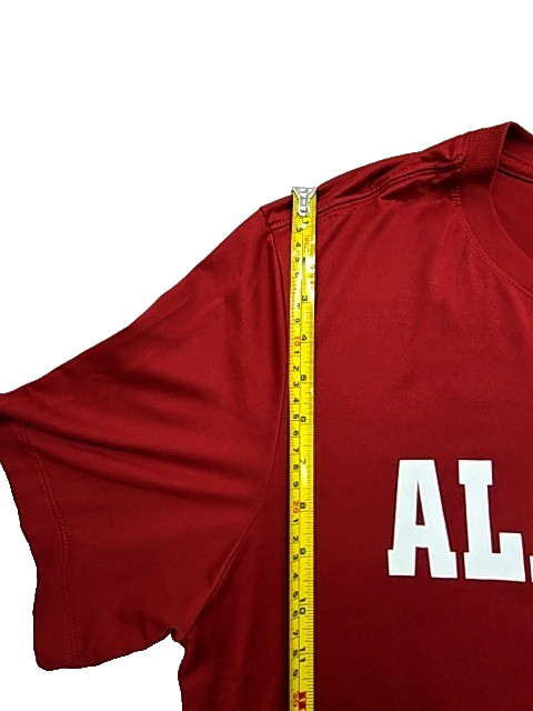 Nike Men's Crimson Alabama Crimson Tide Dri-FIT T-Shirt L