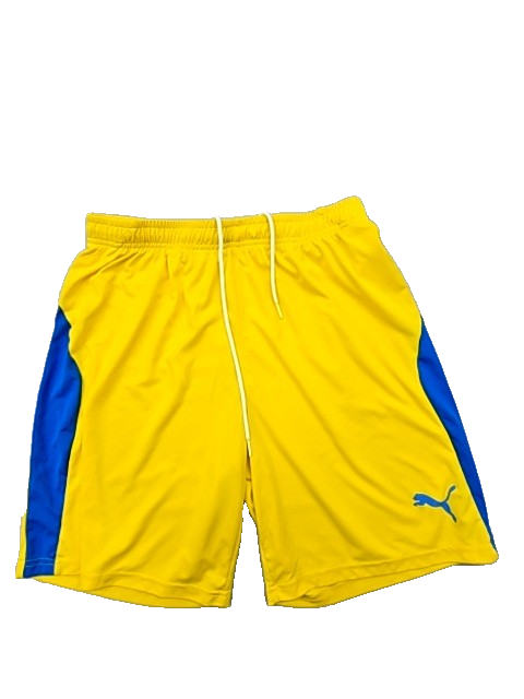 Puma Men's Multicolor Shorts – Size M, Colorblock