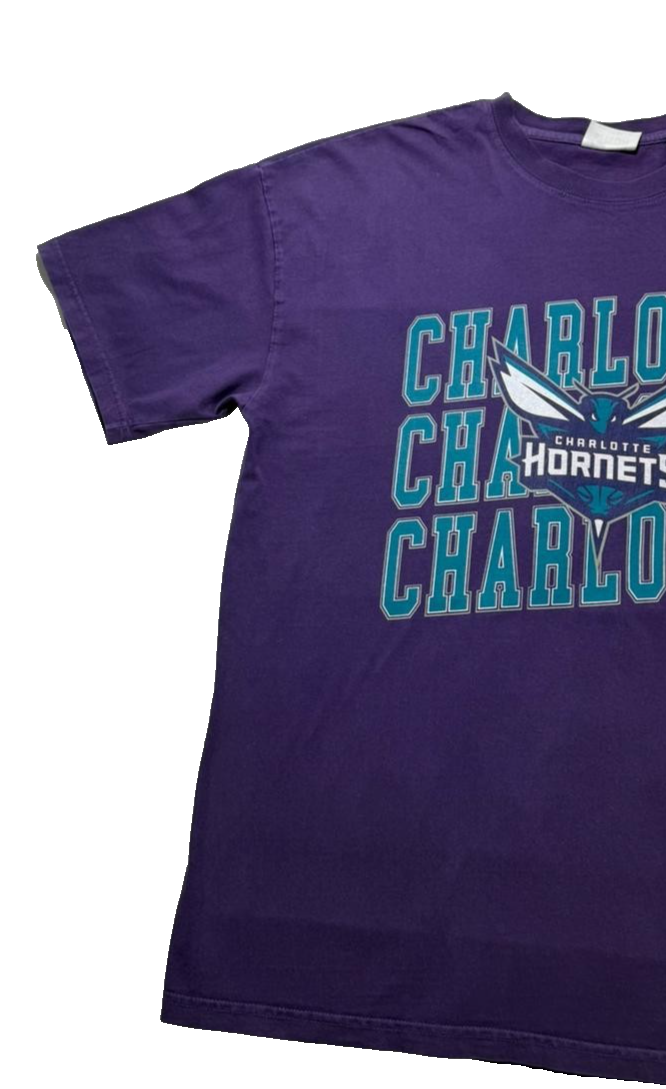 Nba Men's Hornets T-Shirt Purple - Size L