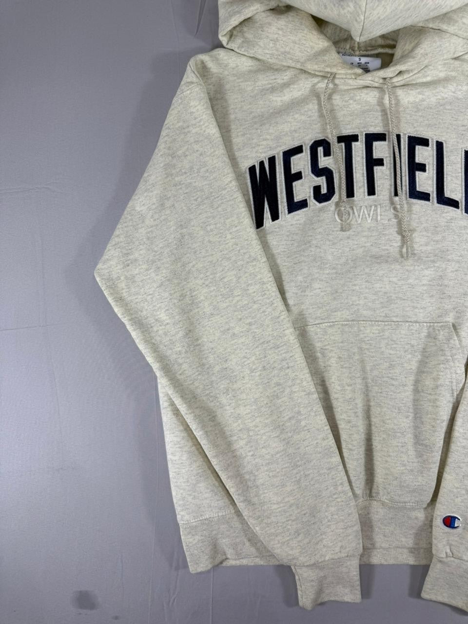 Champion Westfield Hoodie Men's Small Grey Pullover Hooded Sweatshirt