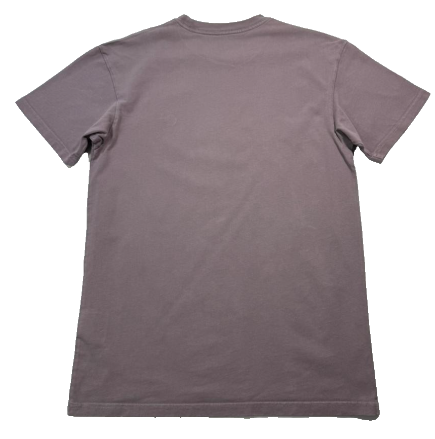 Carhartt Wip Chase T-Shirt In The Color Porphyry With A Gold Logo - Size XS