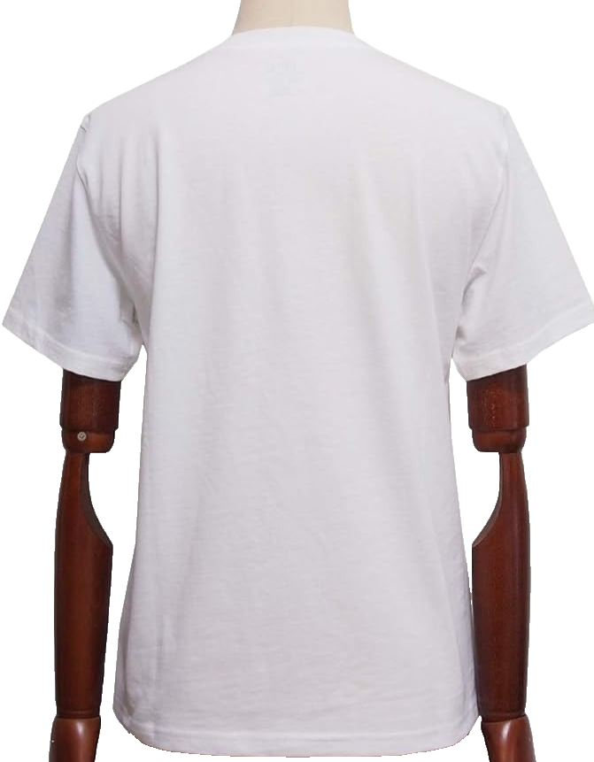 Polo Ralph Lauren Men Polo Bear Surfing Crew Neck T-Shirt White | XL