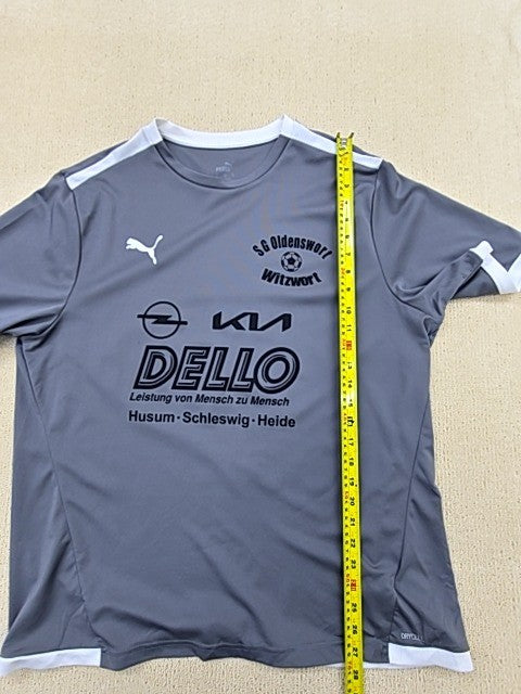 Puma Men's Grey SG Sonnenhof GroÃŸaspach Soccer Jersey XL