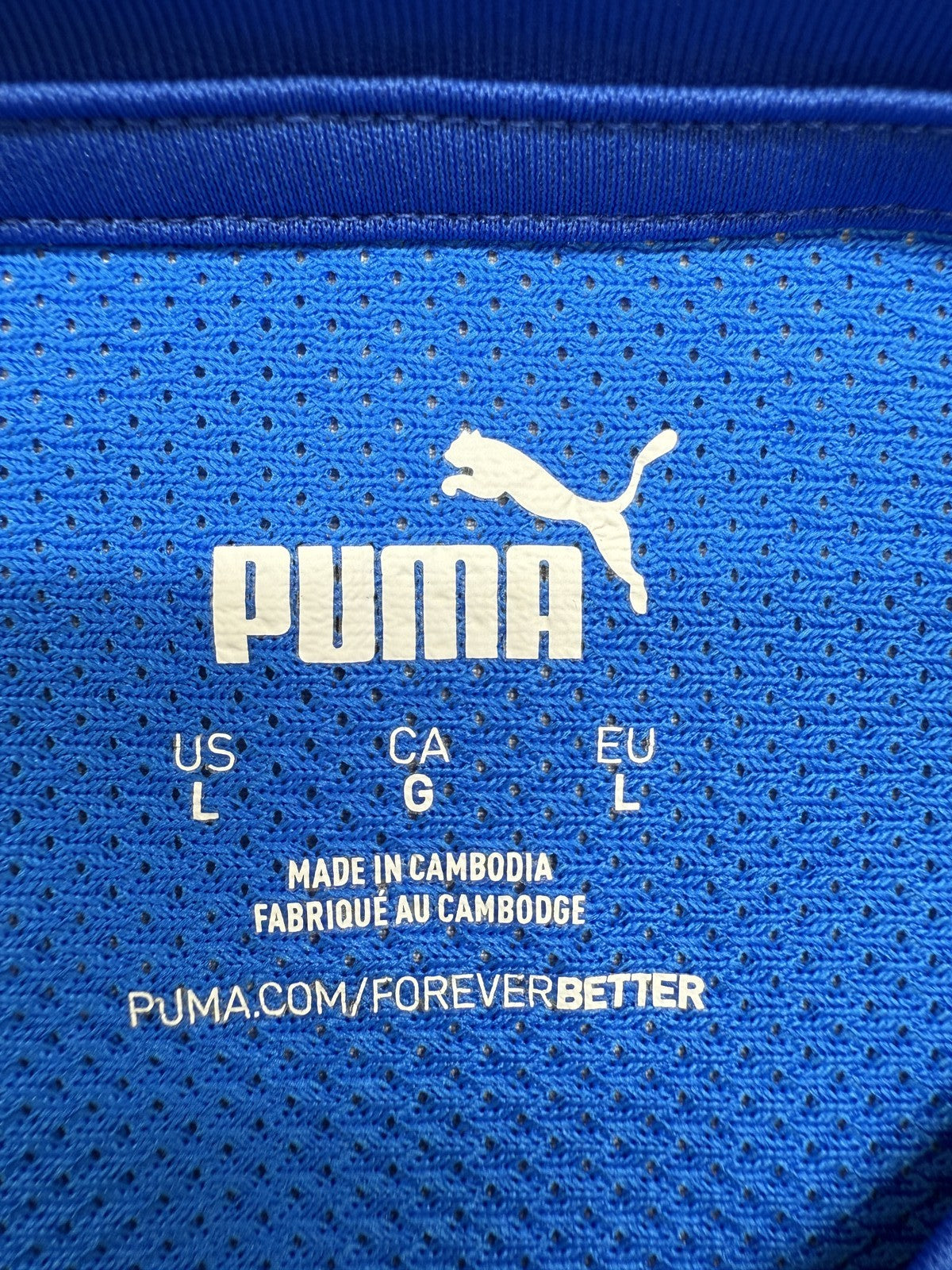 Puma Men's Blue Soccer Jersey L Short Sleeve Crewneck 704710-02