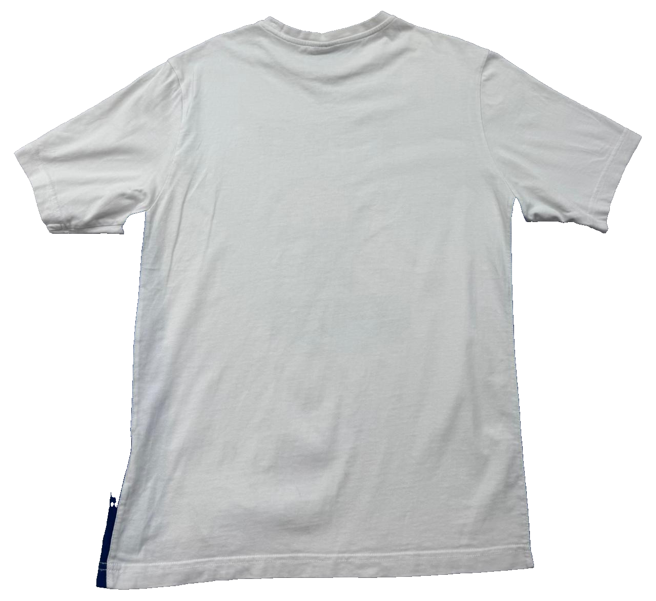 Champion Kentucky Wildcats White L Cotton Crewneck T-Shirt 2019
