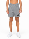 Puma Boys Gray Shorts size M product image 1
