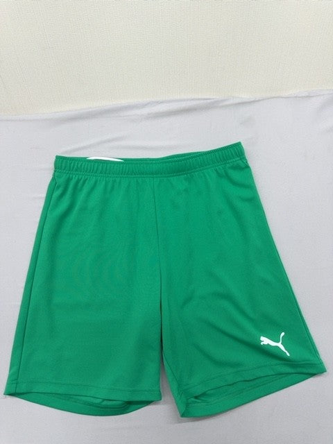 Puma Men's Green Interlock Regular Fit Shorts Size L 704942-05
